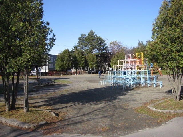 公園　厚別中央公園（公園）まで1317m