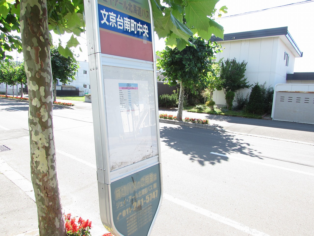 エントランス　バス停目の前