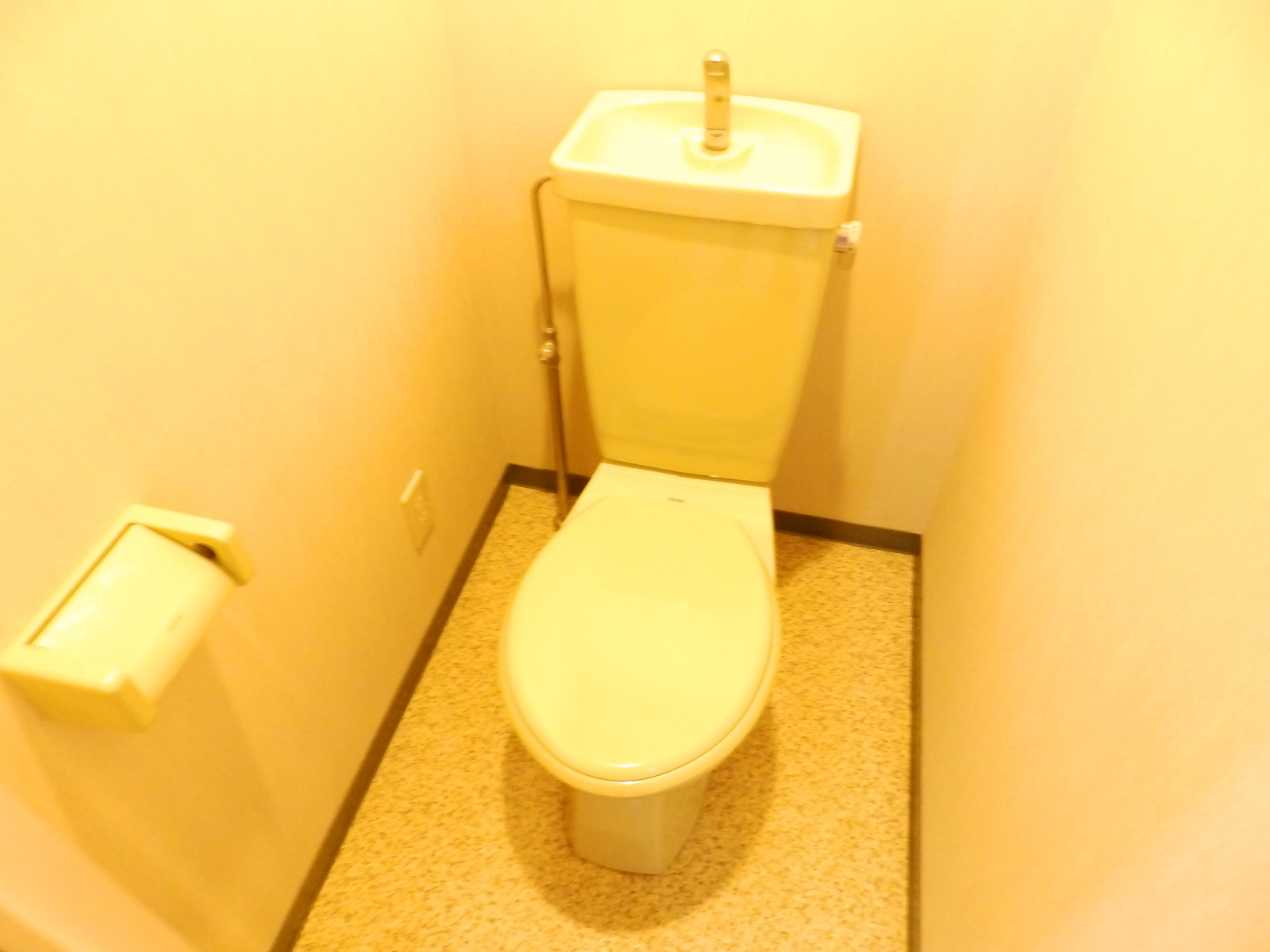 トイレ　綺麗にしています