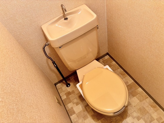 トイレ　トイレ