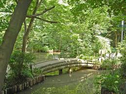 公園　清水が丘緑地（公園）まで197m