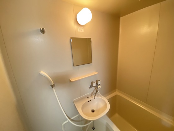 洗面設備　※別号室の写真です。
