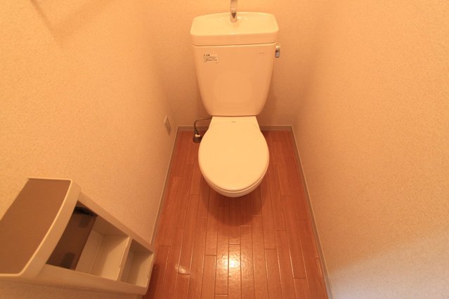 トイレ　トイレも気になるポイント