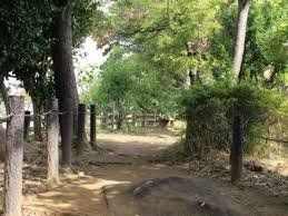 公園　神明六木遊歩道（公園）まで1670m