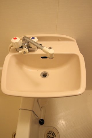 洗面設備　（別タイプ参考写真）サンテミリオン白山　文京区白山2