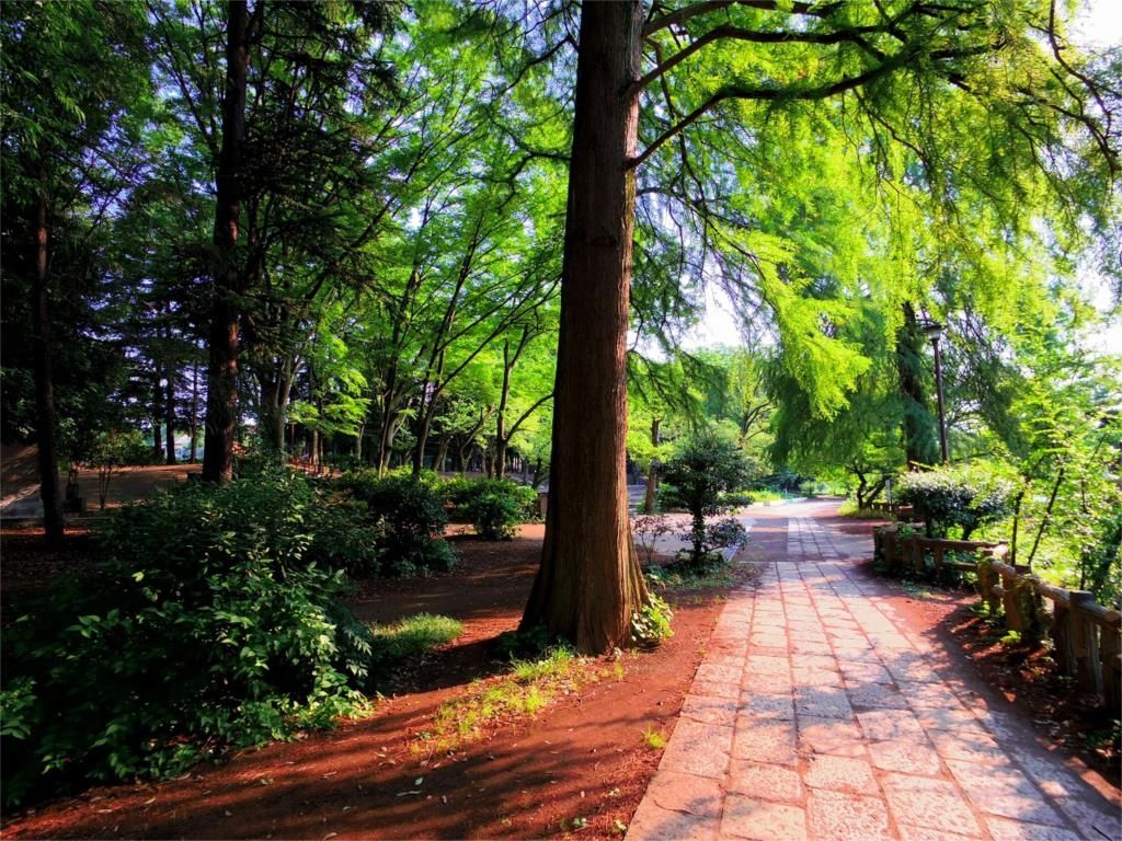 公園　石神井公園（公園）まで591m