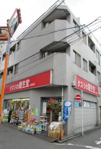 ドラックストア　龍生堂薬局北新宿店（ドラッグストア）まで325m