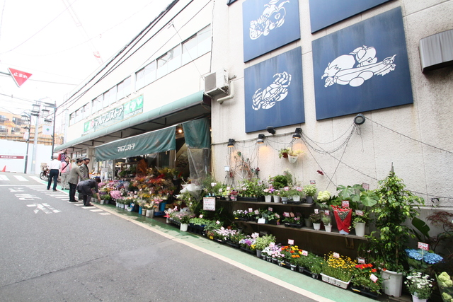 スーパー　マルマンストア参宮橋店（スーパー）まで113m