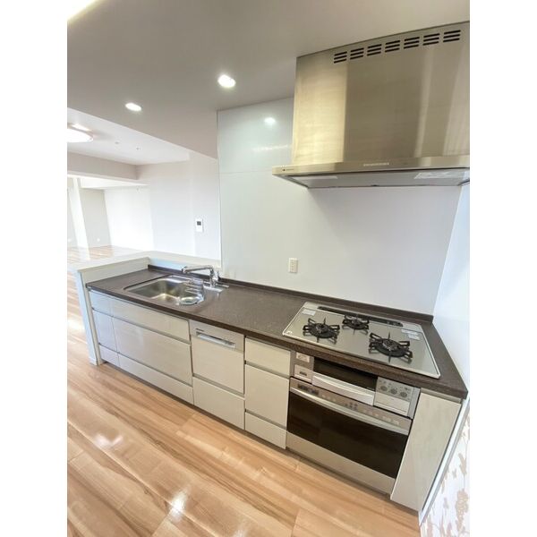 キッチン　アートアルテールコンドミニアムフロア