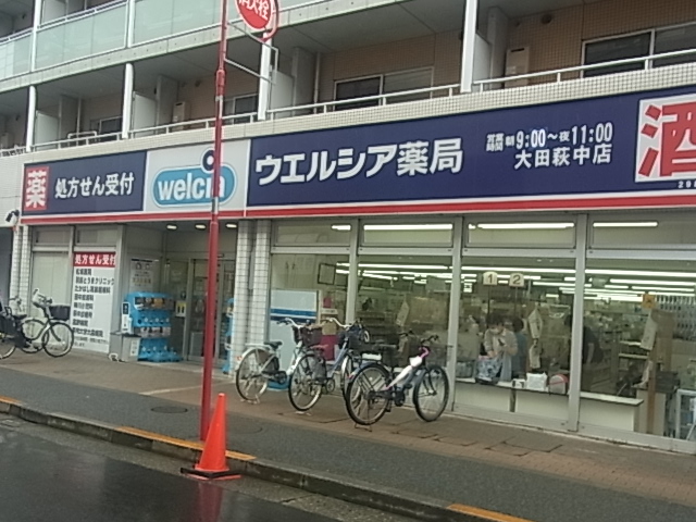 ドラックストア　ウエルシア大田萩中2号店（ドラッグストア）まで335m