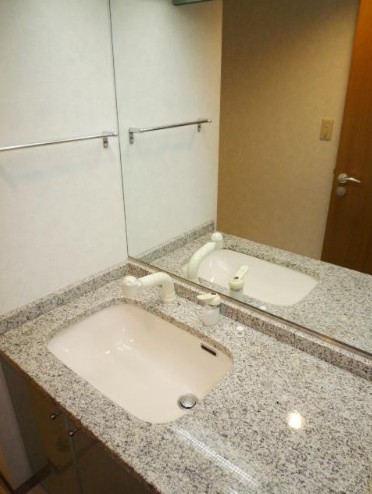 洗面設備　他部屋参考写真