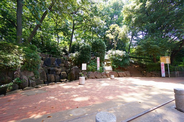 公園　滝の根公園（公園）まで582m