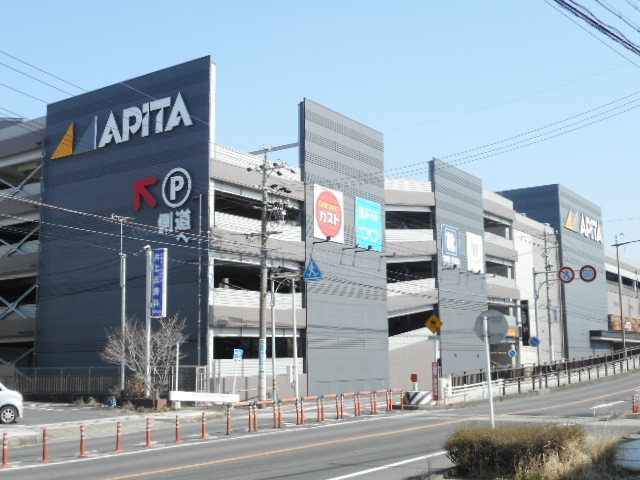 ショッピングセンター　アピタ岩倉店（ショッピングセンター）まで1100m