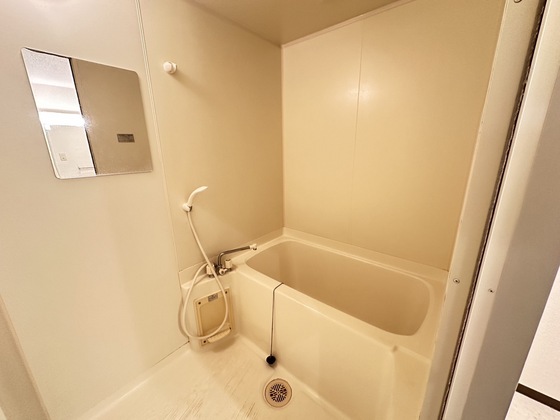 バス・シャワールーム　※別部屋の写真です