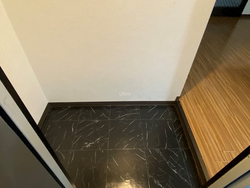 玄関　※他のお部屋です、ご参考までに