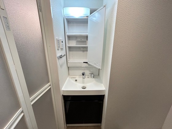 洗面設備　※別部屋の写真です