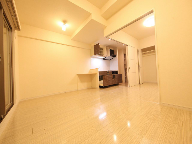 その他　ＬＤＫ11.3帖　洋室5帖とつなげても仕切っても使えます