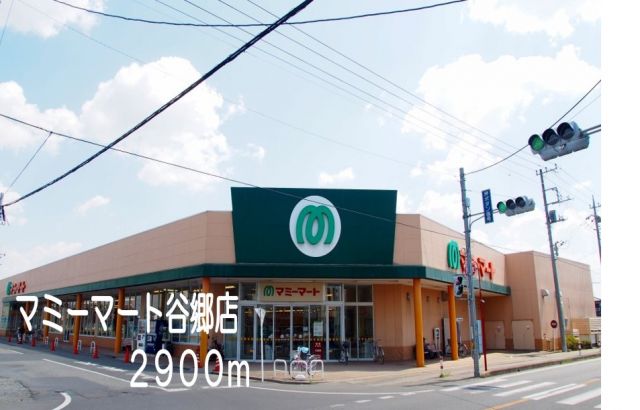 スーパー　マミーマート谷郷店（スーパー）まで2900m