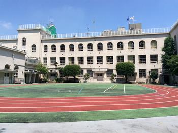 小学校　中央区立常盤小学校（小学校）まで1115m