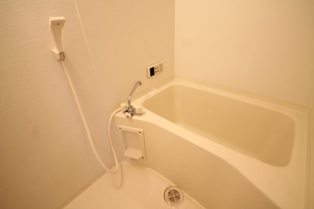 バス・シャワールーム　※同物件別号室の写真になります