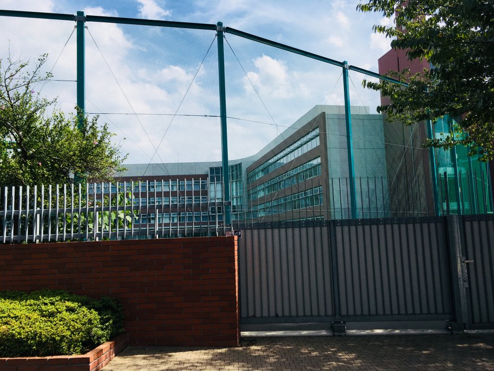 中学校　東洋大学京北中学高等学校（中学校）まで535m