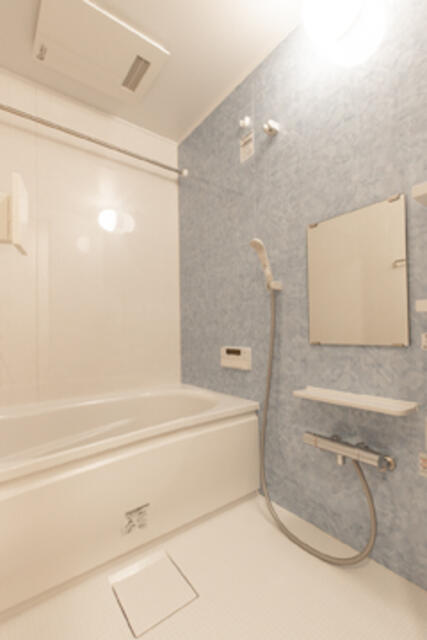 バス・シャワールーム　※写真は同タイプ住戸です。