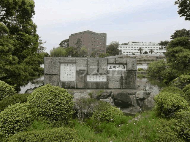 大学・短大　玉川大学（大学・短大）まで560m