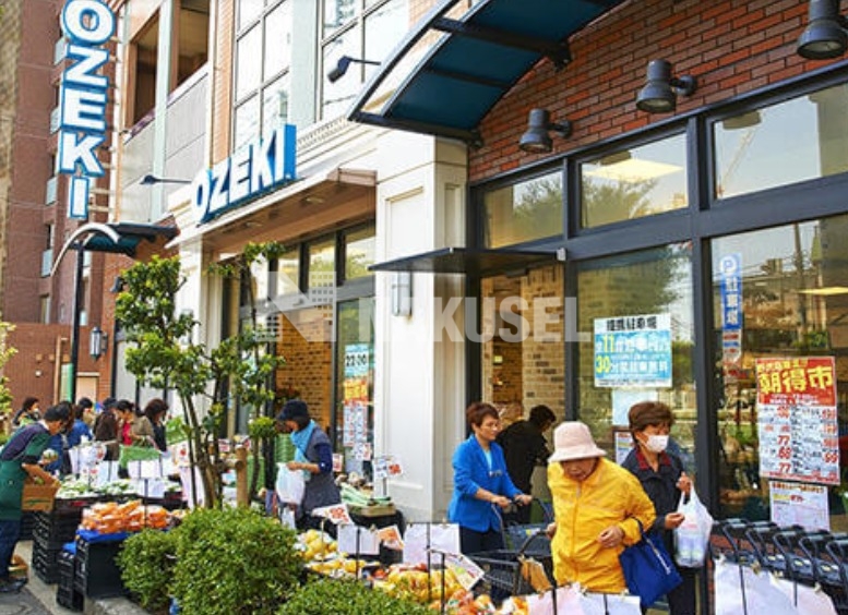 スーパー　スーパーオオゼキ野沢店（スーパー）まで81m