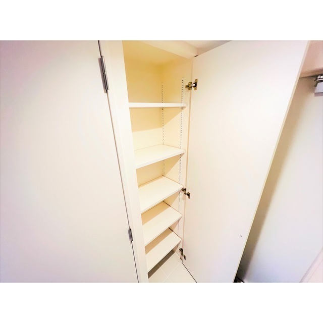 収納　大きなシューズボックス