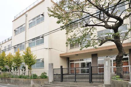 小学校　足立区立宮城小学校（小学校）まで716m