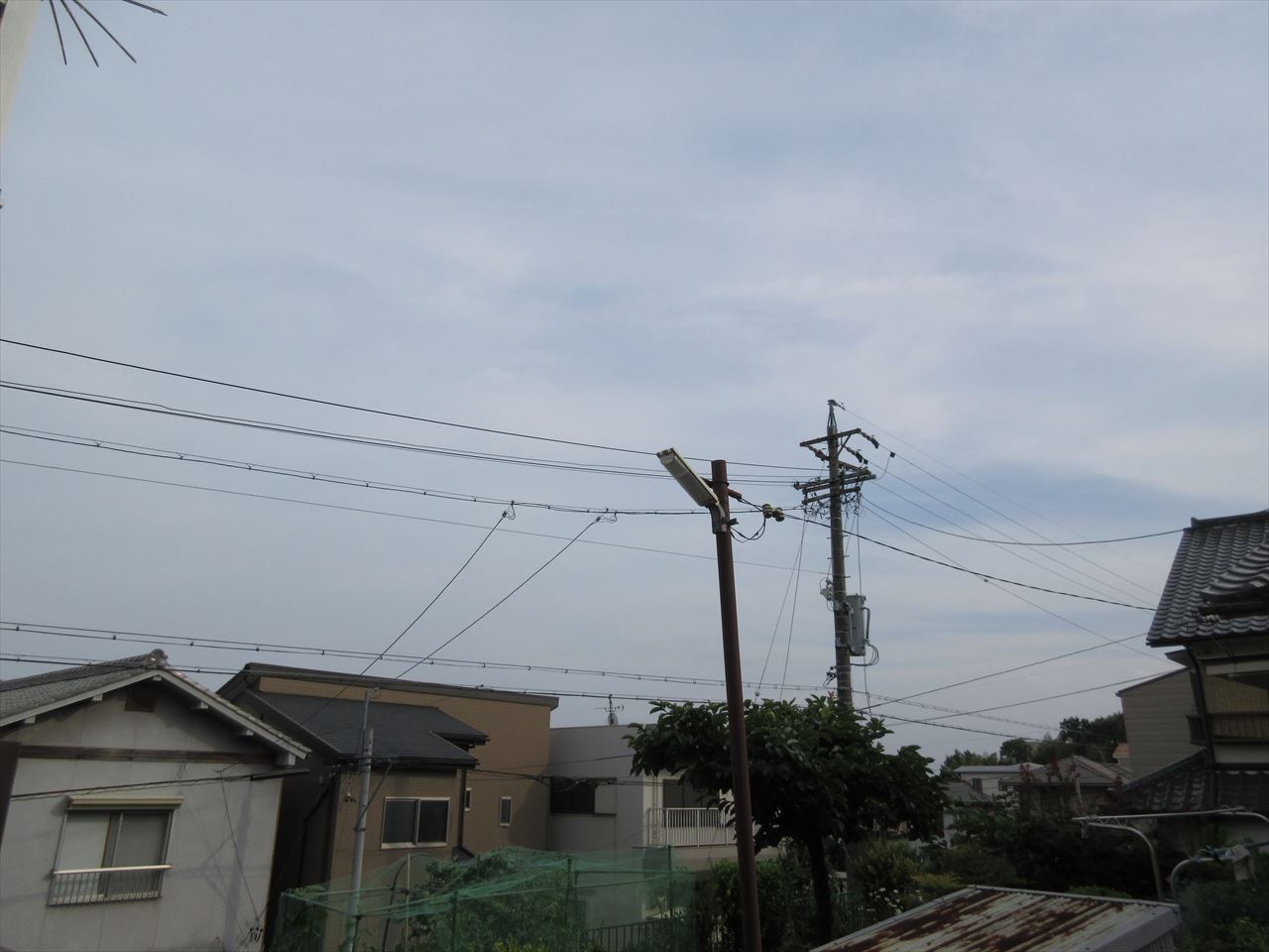 眺望　コットンハウス