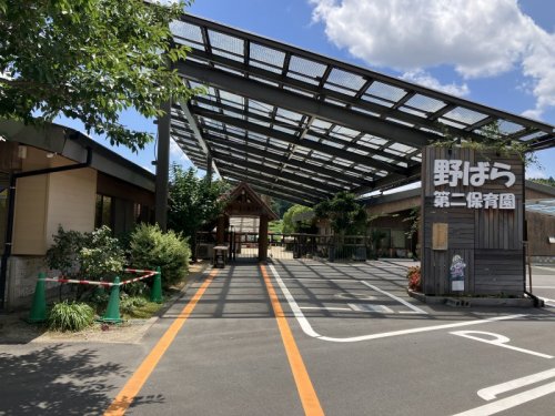 幼稚園・保育園　野ばら第二保育園（幼稚園・保育園）まで1174m