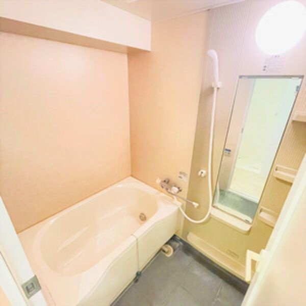 バス・シャワールーム　※写真は同じマンションの違う部屋のものになります。