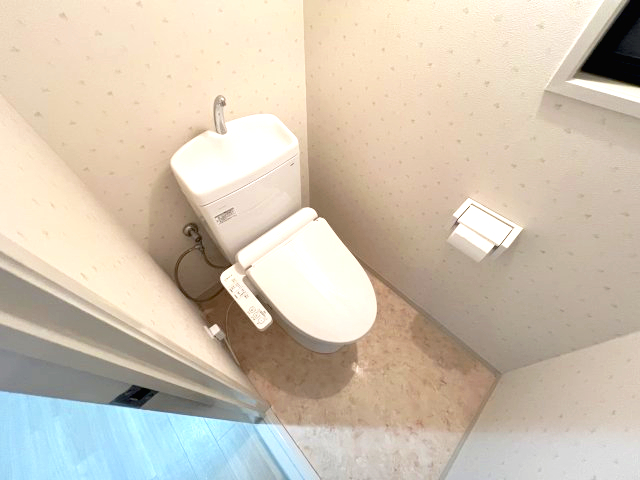 ロイヤルメゾン岡本IIIのトイレ写真