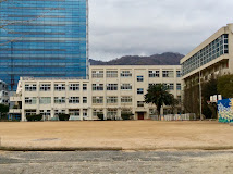 小学校　神戸市立本山南小学校（小学校）まで594m