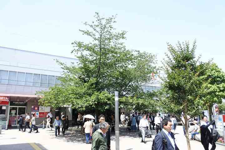 その他　仙川駅（その他）まで890m