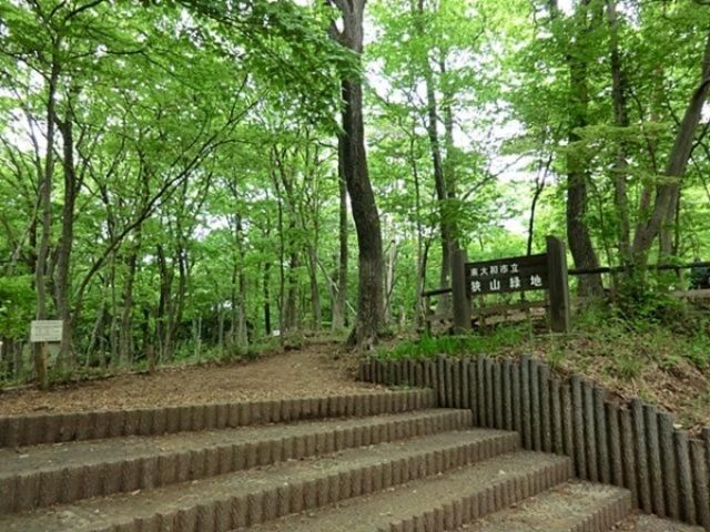 その他　東大和芋窪緑地（その他）まで636m