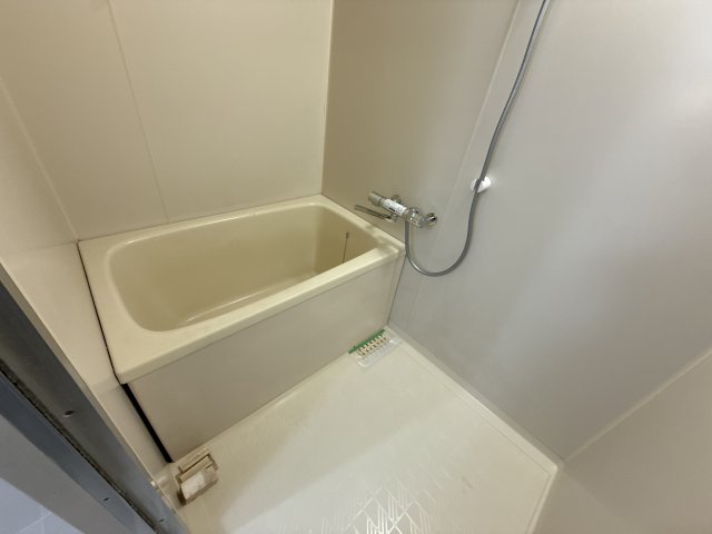 キャッスルコート安室の風呂写真
