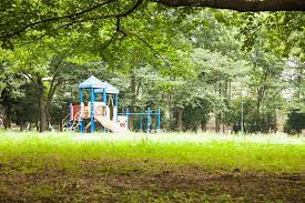 公園　柏ビレジ近隣公園（公園）まで485m