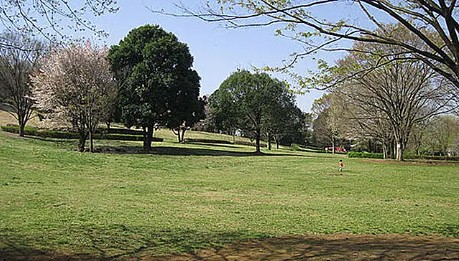 公園　富士見台公園（公園）まで1599m
