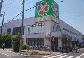 スーパー　ライフ葛飾鎌倉店（スーパー）まで800m