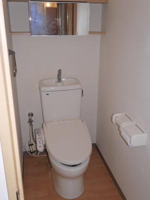 トイレ　トイレ：棚や鏡がおもてなしの気遣いですね！