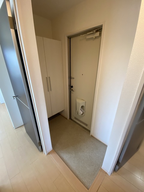 玄関　シューズボックス付