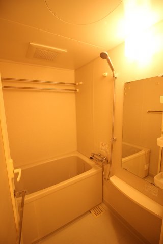 バス・シャワールーム　別タイプ参考写真　パークアクシス大塚　豊島区北大塚2