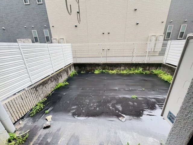 庭