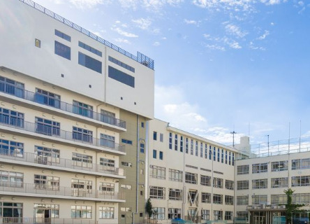 小学校　中央区立久松小学校（小学校）まで493m