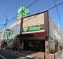 スーパー　サミットストア荏原４丁目店（スーパー）まで1013m