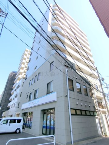 建物外観　1991年3月築　SRC鉄骨鉄筋コンクリート造地上12階建て