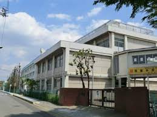 中学校　芝西中学校（中学校）まで347m