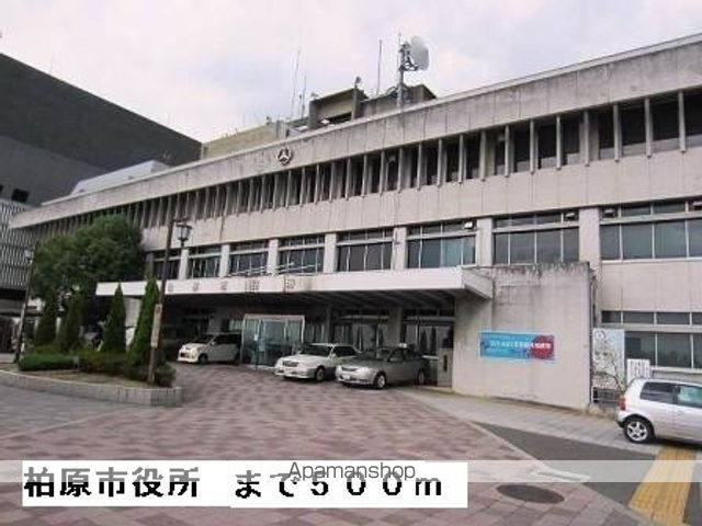 役所　柏原市役所（役所）まで500m